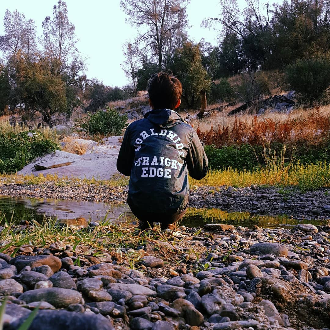 I'll Carry This Torch Windbreaker - Image 8